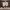 TSSUS_342_Eco Wood Office Sash_full height_Central_Snow White_Wide Shot.webp