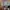 TSSUS_302_Living Room_Customer Imagery_ TU61237.webp