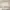 TSSUS_48_Hardwood_Full_Height_Natural_Stained_Central.webp
