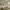 TSSUS_23_Eco_Wood_Full_Height_Shutter_Livingroom.webp
