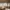 TSSUS_116_ American Wood_Bedroom_Full Height.webp