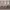 TSSUS_320_Luxe wood_Solid Raised_Full Height.webp
