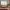 TSSUS_310_@louisejameshome.webp