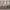 TSSUS_336_Luxe wood_Solid Style_Vivid White_Wide shot.webp