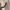 TSSUS_02_American_Wood_Core_Full_Height_Shutters_Lady_Closing_Panels.webp